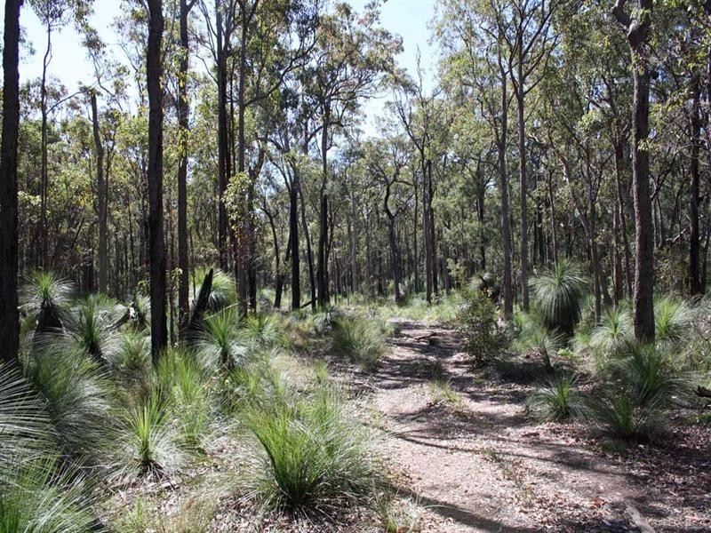L1 Patava Road, Crows Nest QLD 4355