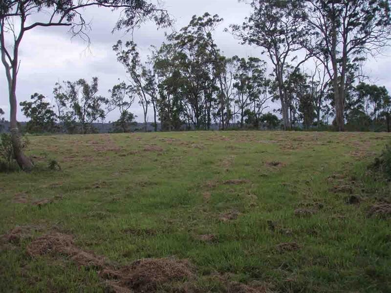 525 Preston Boundary Road, Preston QLD 4352