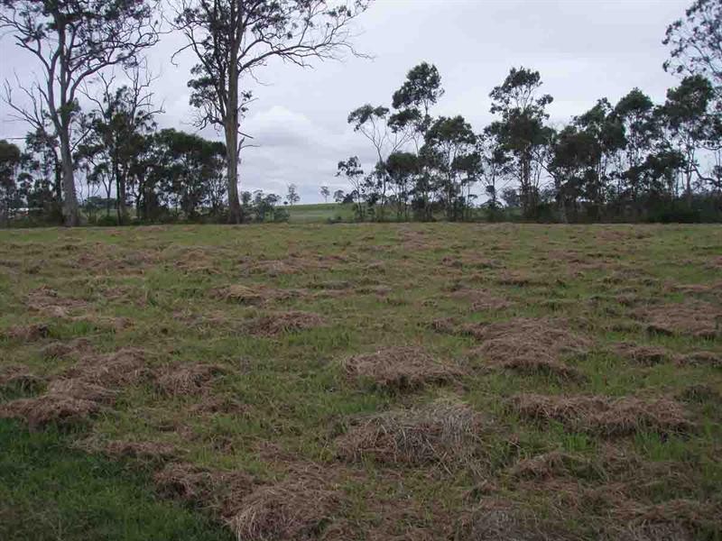 525 Preston Boundary Road, Preston QLD 4352