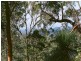 658 Rockmount Road, Preston QLD 4352