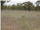 821 Clifton Pittsworth Road, Back Plains QLD 4361