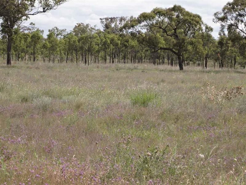 821 Clifton Pittsworth Road, Back Plains QLD 4361