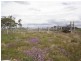 821 Clifton Pittsworth Road, Back Plains QLD 4361
