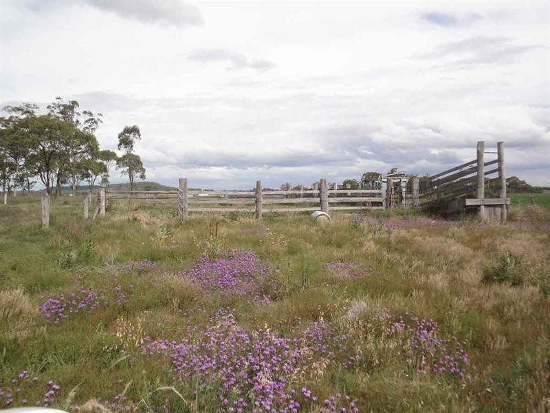 821 Clifton Pittsworth Road, Back Plains QLD 4361