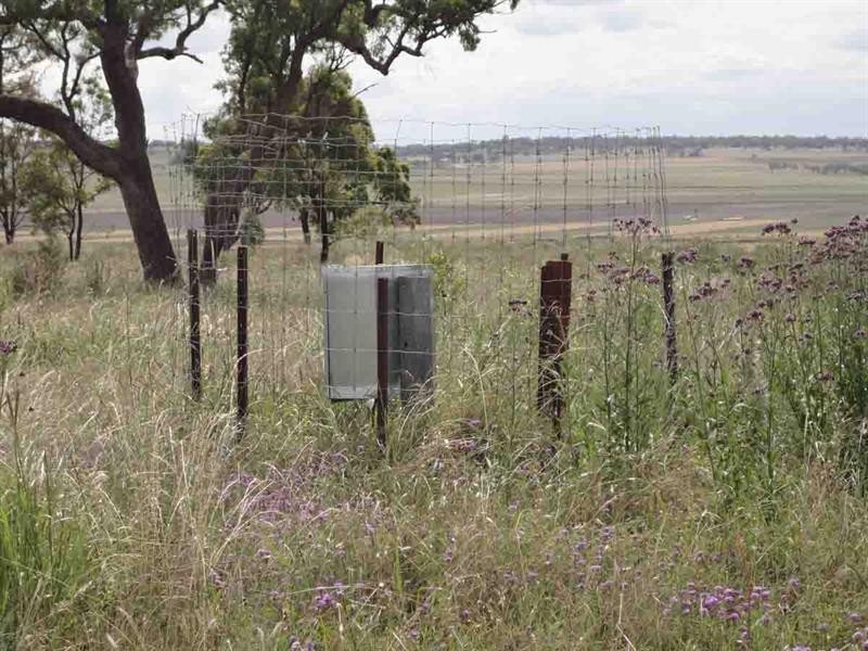 821 Clifton Pittsworth Road, Back Plains QLD 4361