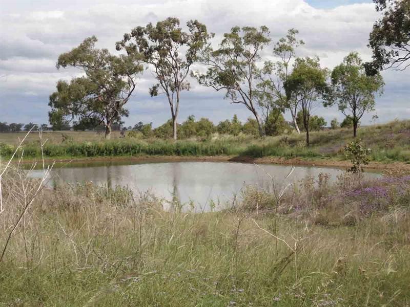 821 Clifton Pittsworth Road, Back Plains QLD 4361