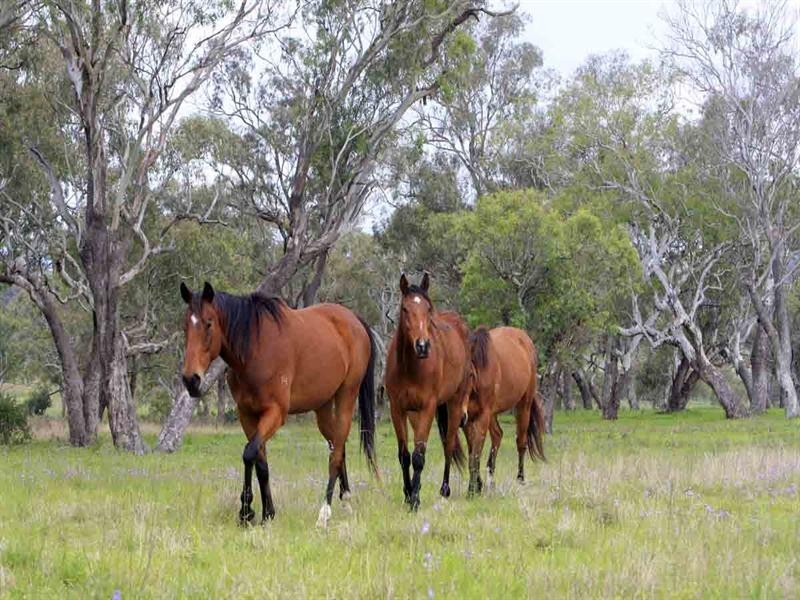 220 Hudson Road, Southbrook QLD 4363