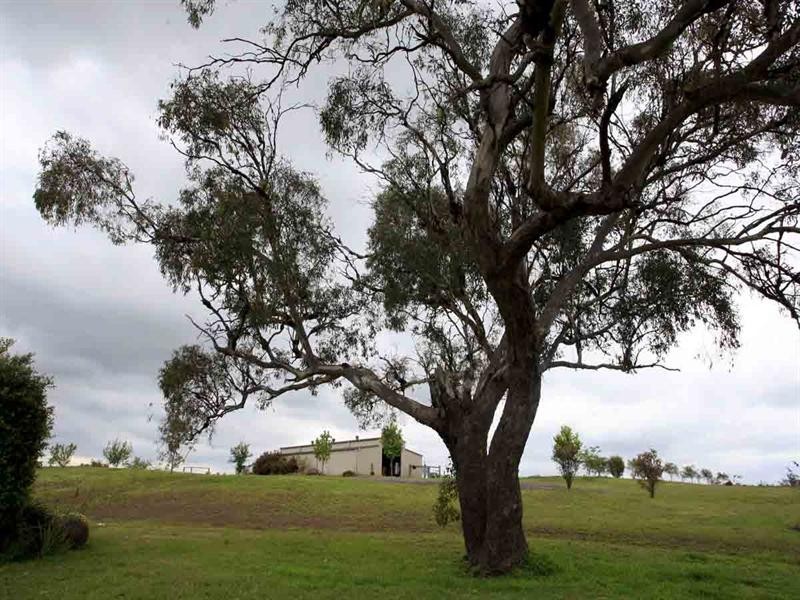 220 Hudson Road, Southbrook QLD 4363