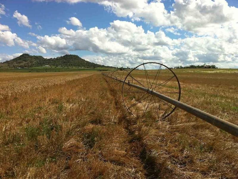 “Kingslea” 110 Robson Road, Kingsthorpe QLD 4400