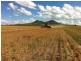 “Kingslea” 110 Robson Road, Kingsthorpe QLD 4400