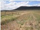 “Kingslea” 110 Robson Road, Kingsthorpe QLD 4400