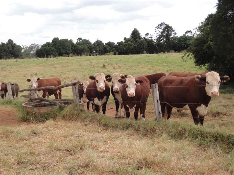 1164 New England Highway, Upper Yarraman QLD 4614