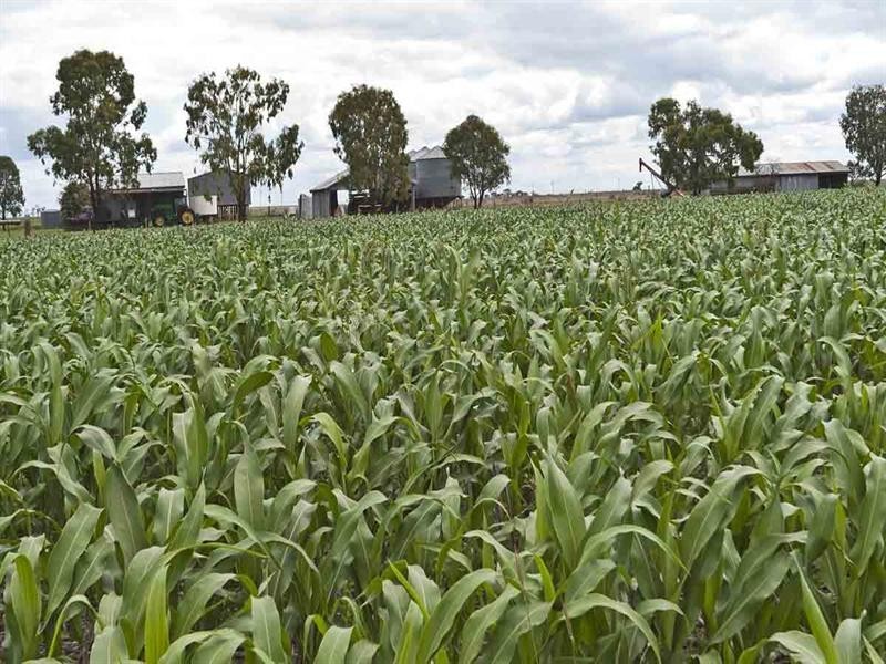 15704 Warrego Highway, Bowenville QLD 4404