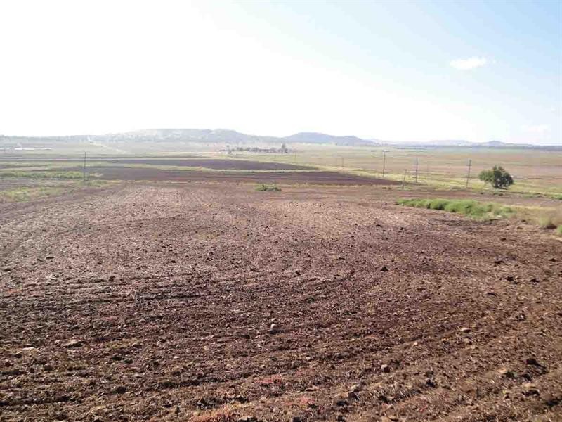 1670 Toowoomba Cecil Plains Road, Biddeston QLD 4401