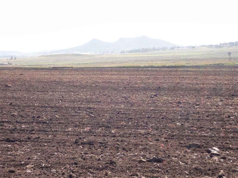 1670 Toowoomba Cecil Plains Road, Biddeston QLD 4401