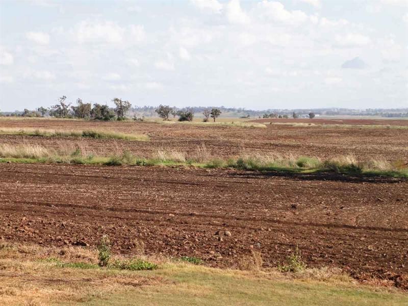 1670 Toowoomba Cecil Plains Road, Biddeston QLD 4401