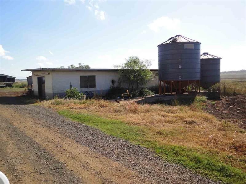 1670 Toowoomba Cecil Plains Road, Biddeston QLD 4401
