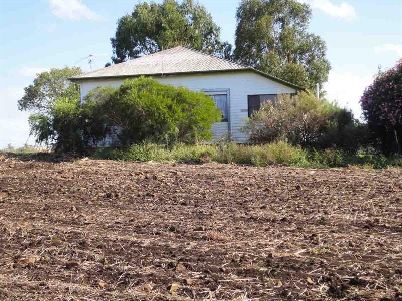 1670 Toowoomba Cecil Plains Road, Biddeston QLD 4401