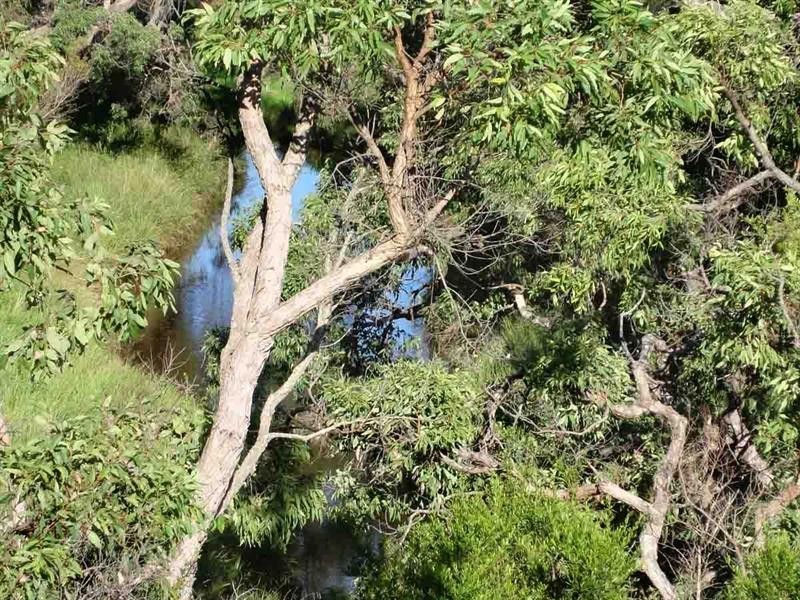 Lot 7 O’Keefes Road, Ramsay QLD 4358