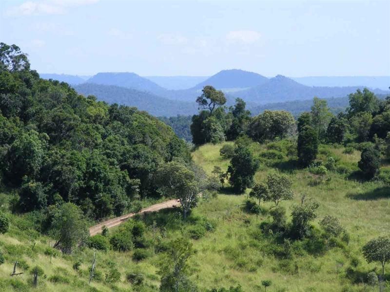 395 Sawpit Gully Road, Rockmount QLD 4344