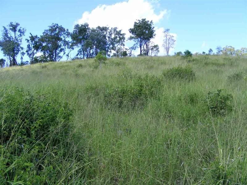 395 Sawpit Gully Road, Rockmount QLD 4344