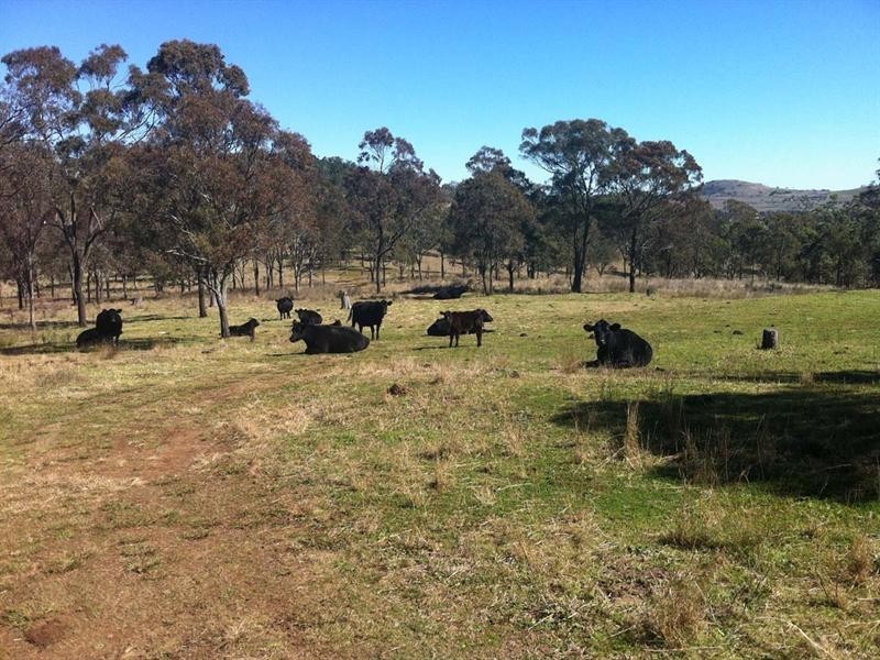 56 Walkers Spring Road, Preston QLD 4352