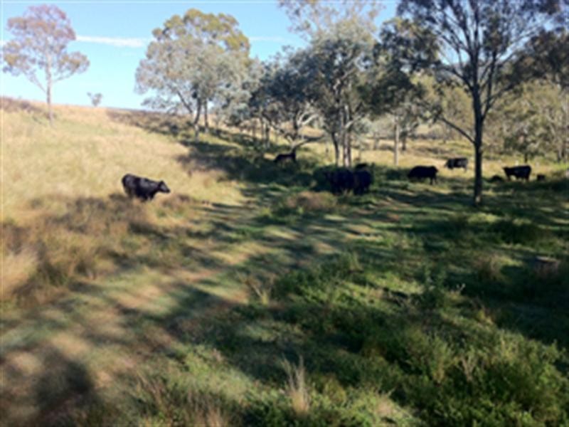 56 Walkers Spring Road, Preston QLD 4352