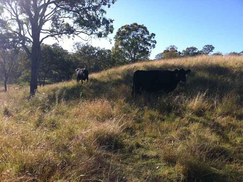 56 Walkers Spring Road, Preston QLD 4352