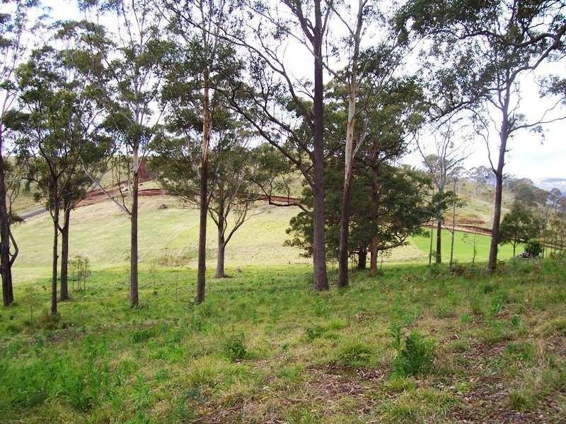 Lot 6 Forest Drive, Hampton QLD 4352