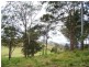 Lot 6 Forest Drive, Hampton QLD 4352