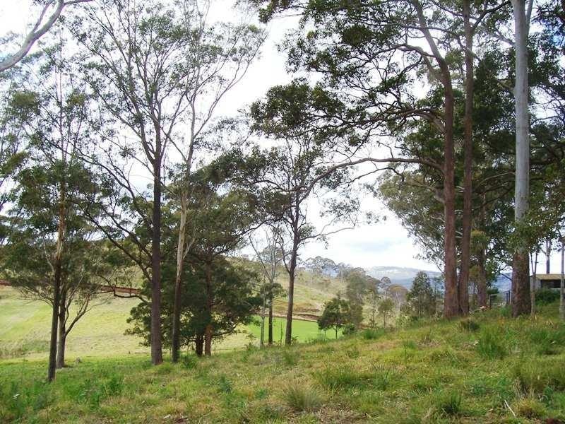Lot 6 Forest Drive, Hampton QLD 4352
