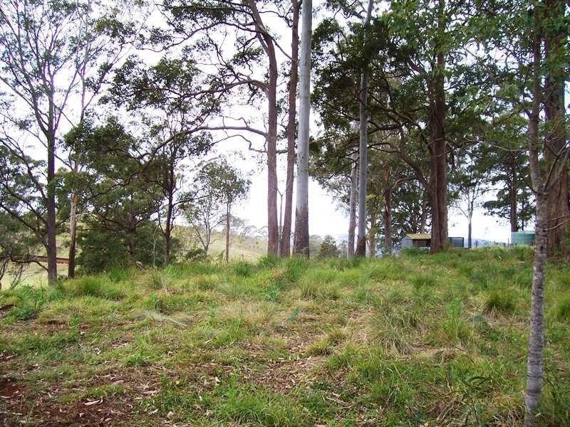 Lot 6 Forest Drive, Hampton QLD 4352