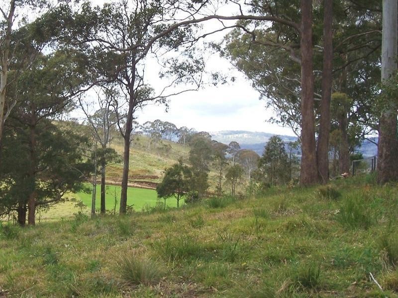 Lot 6 Forest Drive, Hampton QLD 4352