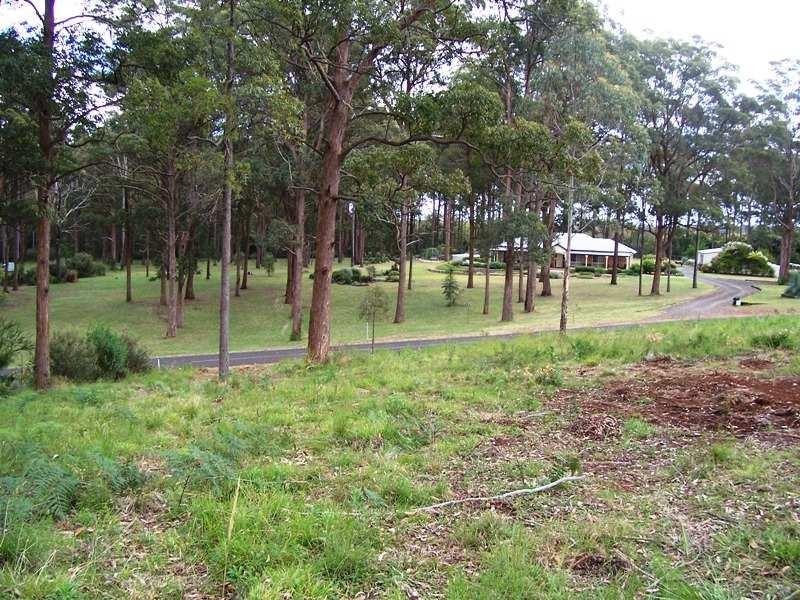 Lot 6 Forest Drive, Hampton QLD 4352