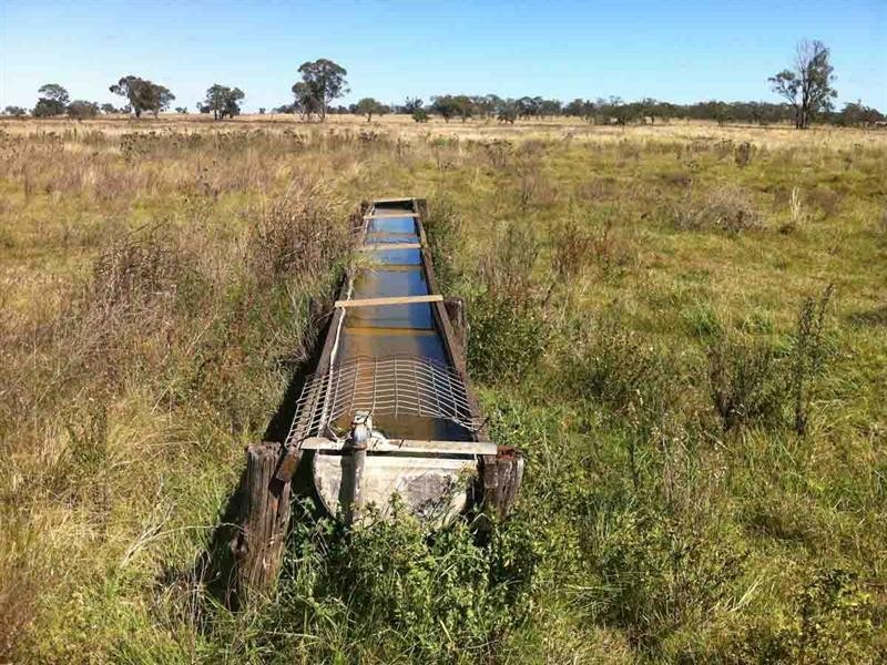 L 224 and 141 Westbrook Wyreema Road, Westbrook QLD 4350