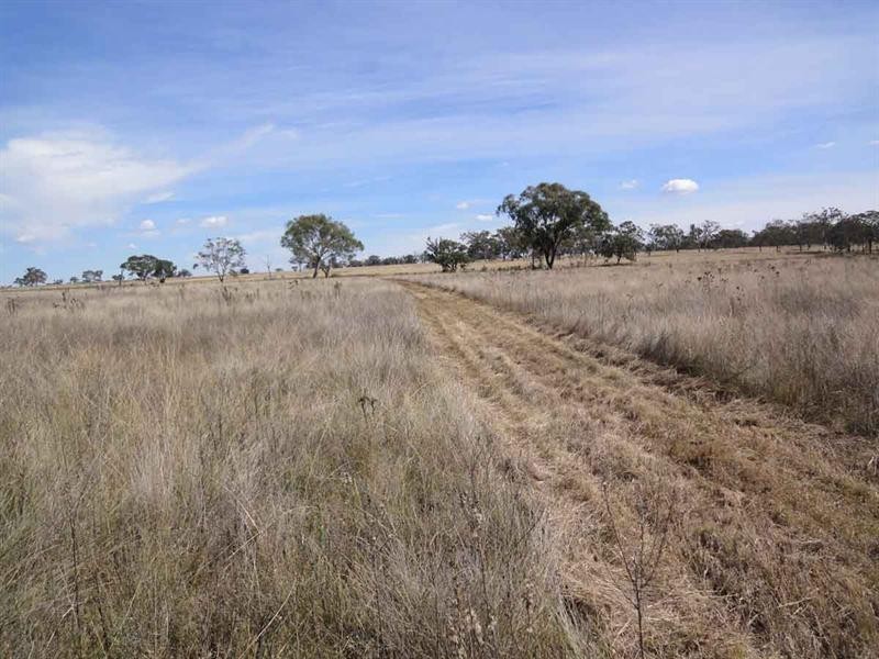 L 224 and 141 Westbrook Wyreema Road, Westbrook QLD 4350