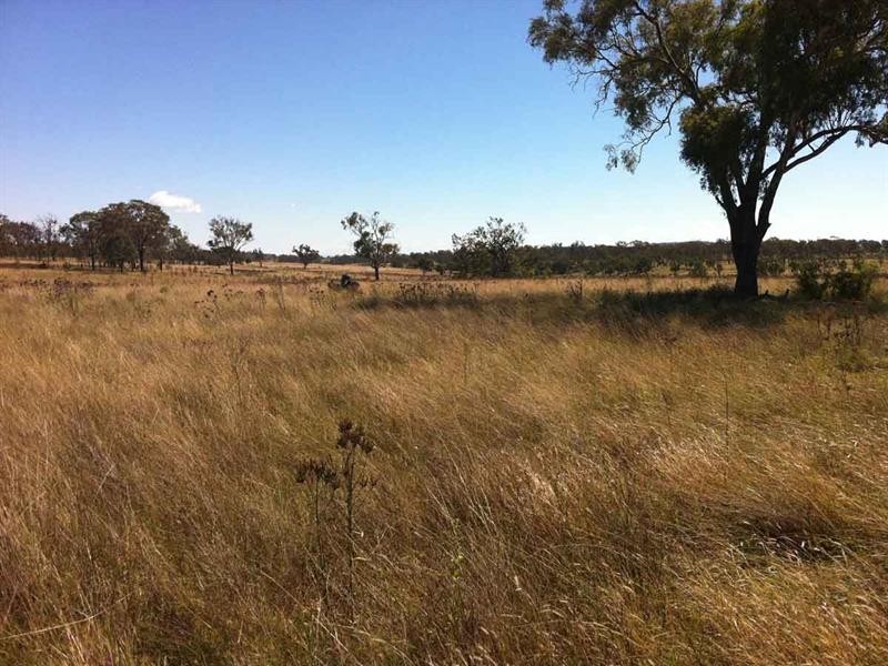 L 224 and 141 Westbrook Wyreema Road, Westbrook QLD 4350