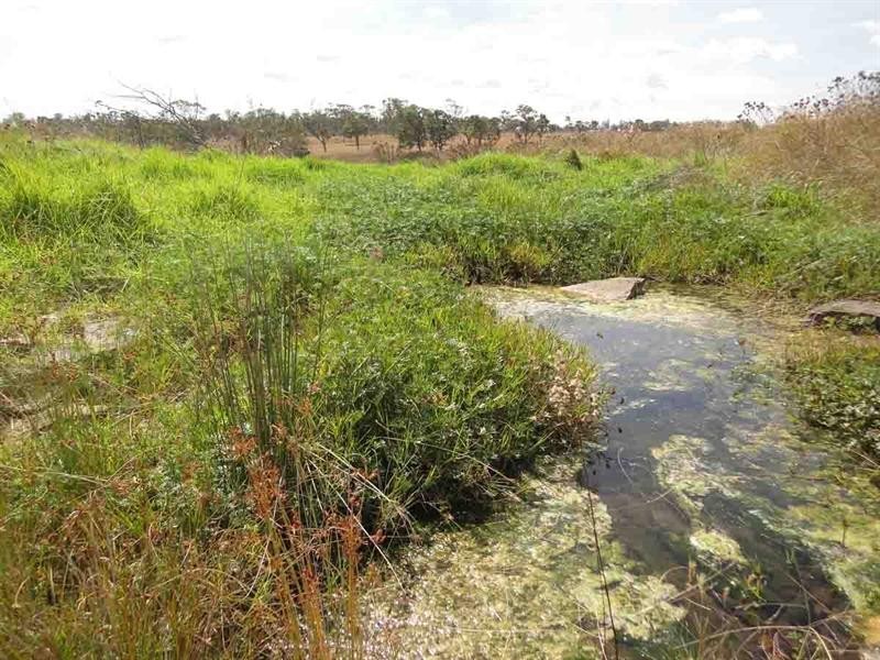 L 224 and 141 Westbrook Wyreema Road, Westbrook QLD 4350