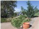 289 Upper Flagstone Road, Upper Flagstone QLD 4344