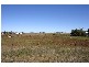 99 Bunkers Hill School Road, Westbrook QLD 4350