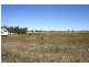 99 Bunkers Hill School Road, Westbrook QLD 4350