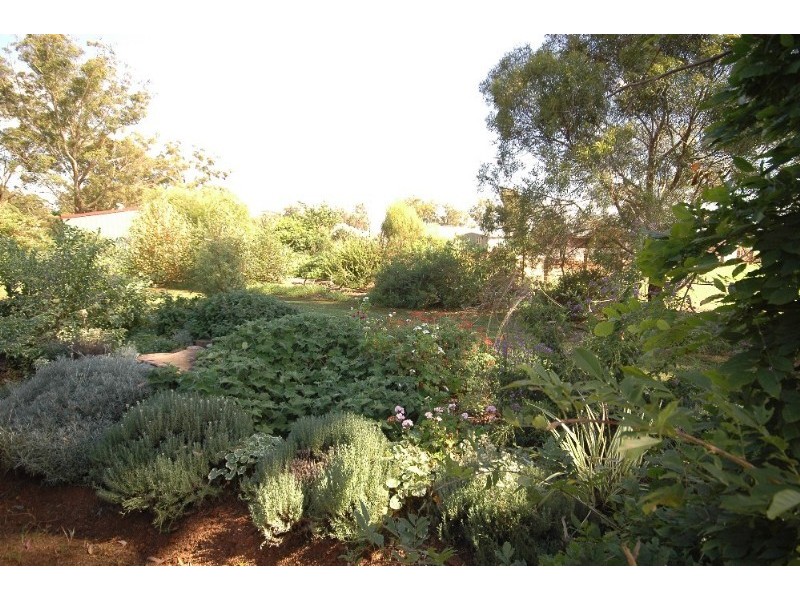 16 Kennedy Street, Cabarlah QLD 4352