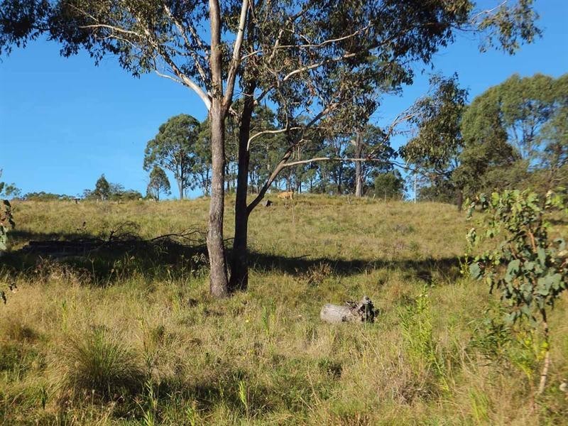 844 Merritts Creek Road, Hampton QLD 4352