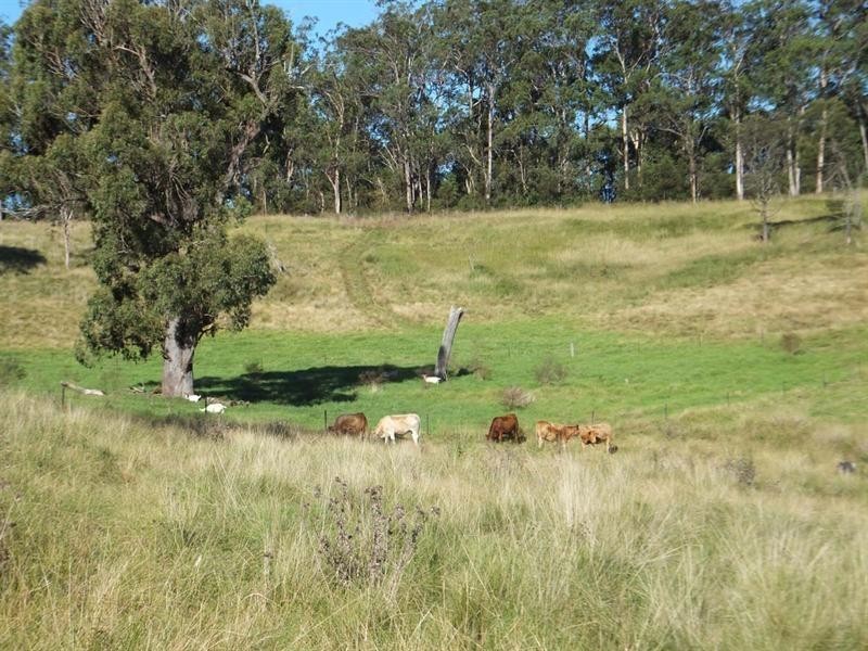 844 Merritts Creek Road, Hampton QLD 4352