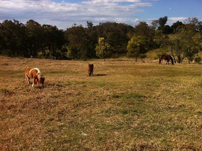 50 Recreation Reserve Road, Highfields QLD 4352