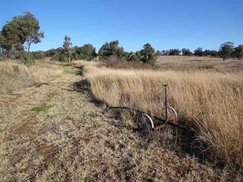 273 Woolmer Road, Highfields QLD 4352