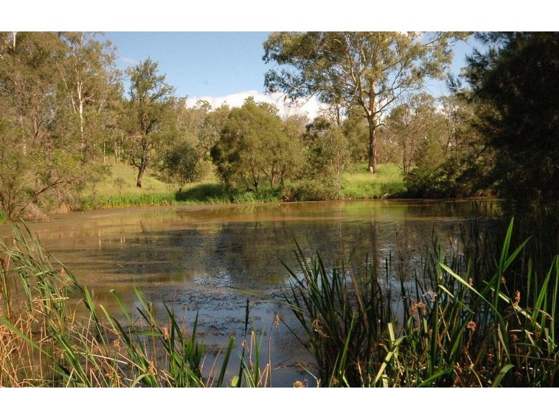 35 Greers Road, Withcott QLD 4352