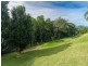 86 Gahans Avenue, Woonona NSW 2517