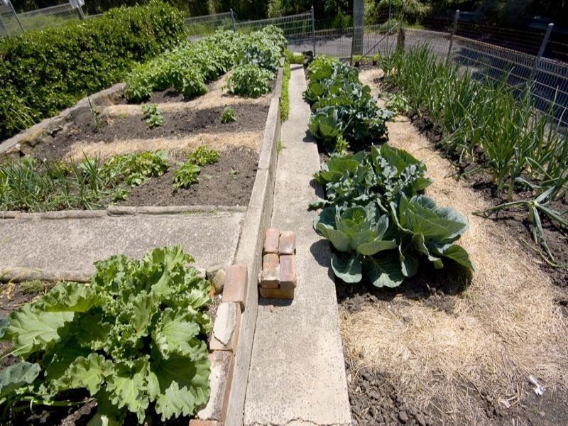 24 Young Street, Coledale NSW 2515