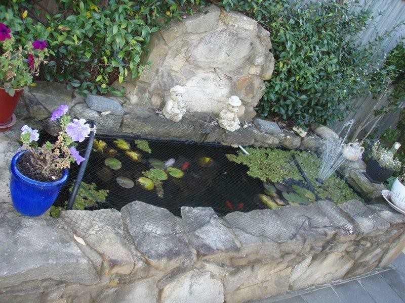 6 Blueberry Circuit, Woonona NSW 2517